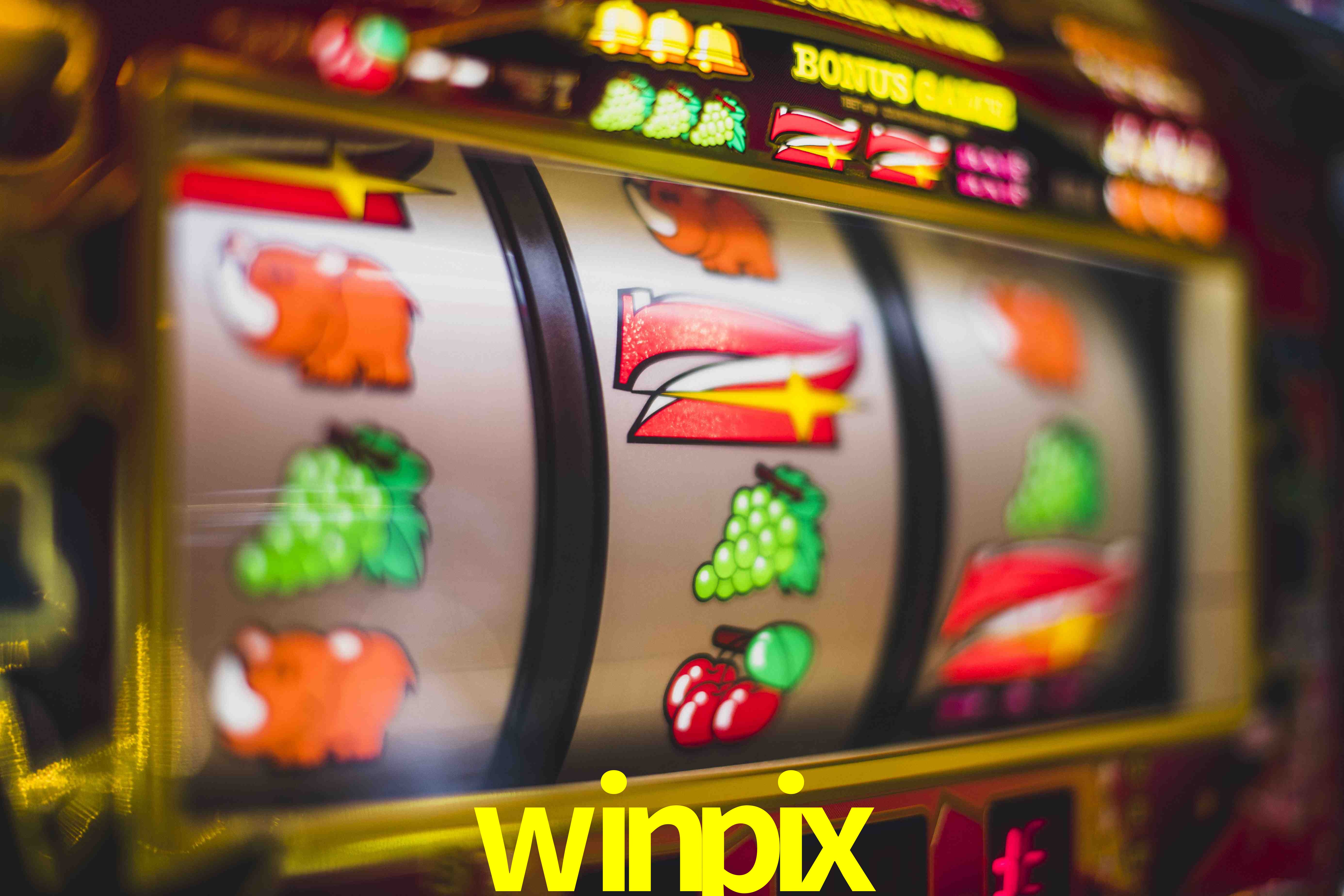 Sports Statistics winpix